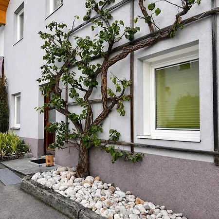 Appartement Casa Nemeth - Park&chill *